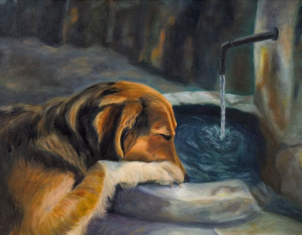 Dog at Fountain, oil on canvas painting by Angela Beekers-Uberoi